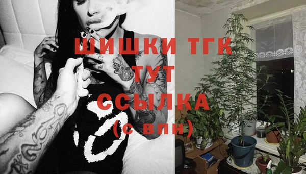 apvp Алексин