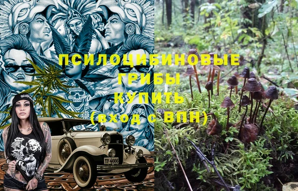 apvp Алексин