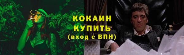 индика Алзамай