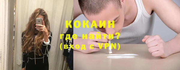 индика Алзамай