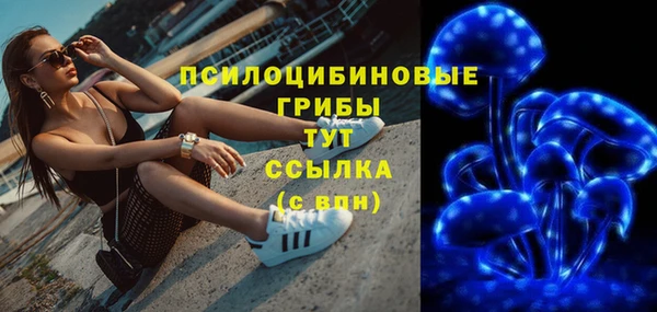индика Алзамай