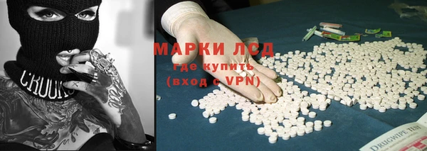 индика Алзамай