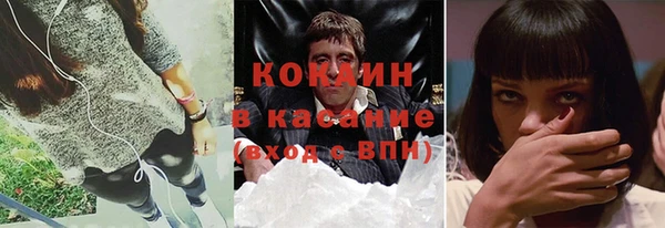индика Алзамай