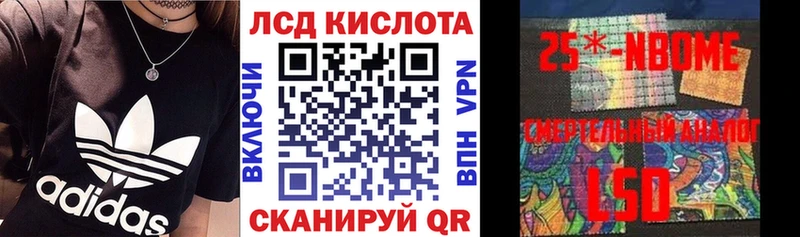 закладки  Куровское  shop телеграм  Марки 25I-NBOMe 1,5мг 